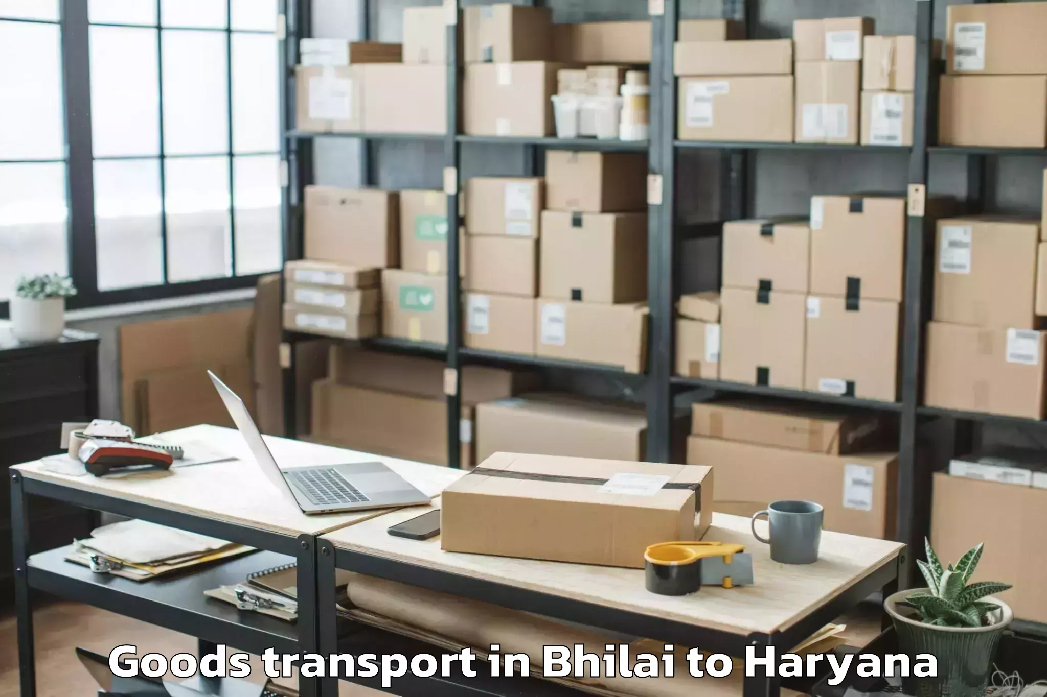 Top Bhilai to Kishora Goods Transport Available